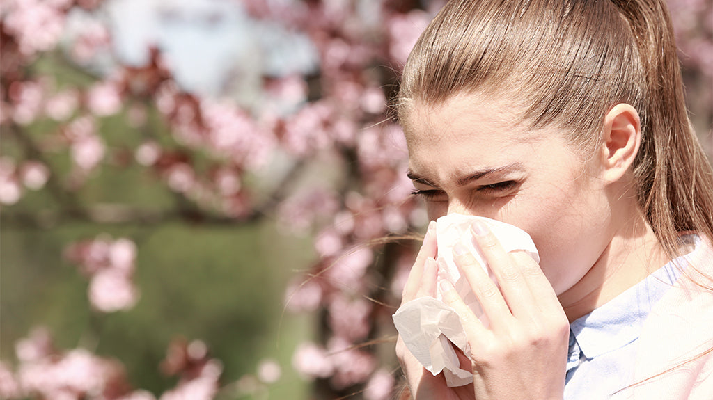 Stop allergieën voordat ze beginnen. Gebruik een luchtreiniger